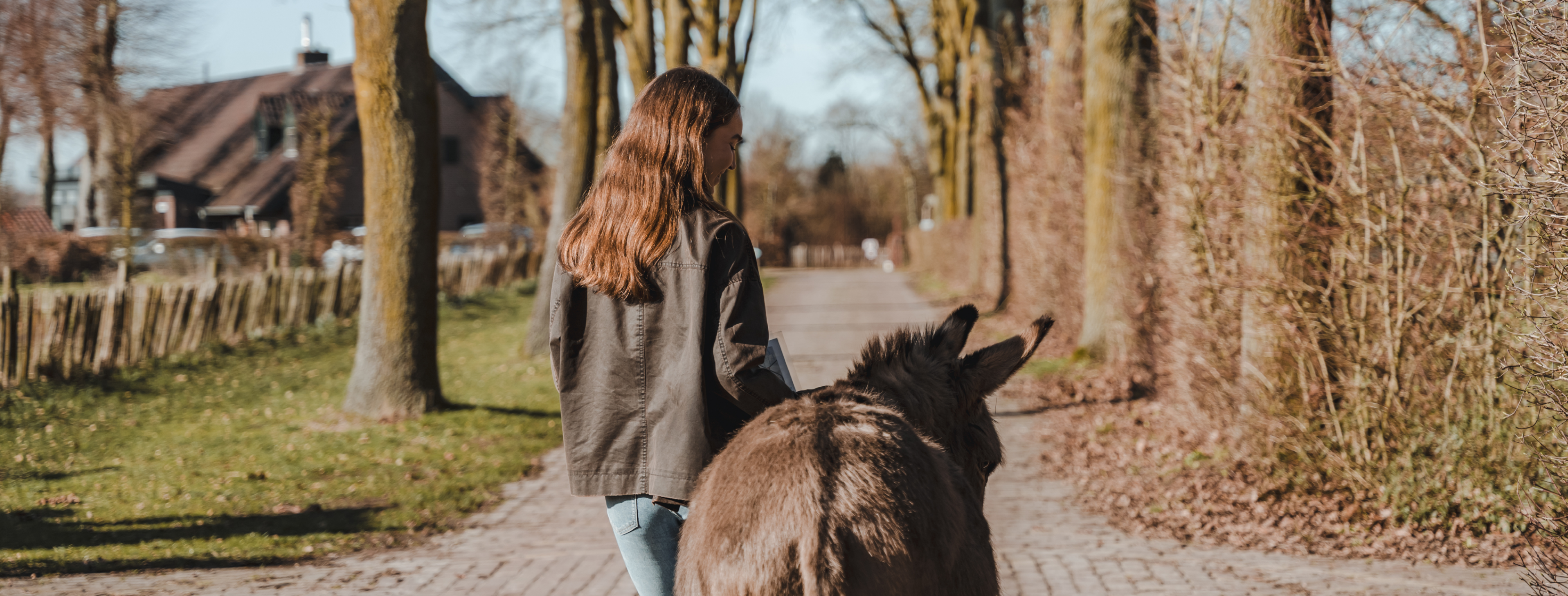 meisje met ezel in een laan