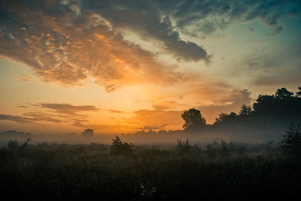 Nationalpark De Meinweg im Morgennebel bei Sonnenaufgang