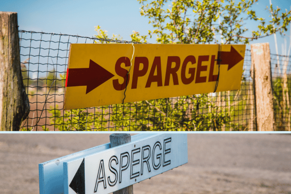 Spargel-Radtour Schnuppern Sie in der Grenzregion