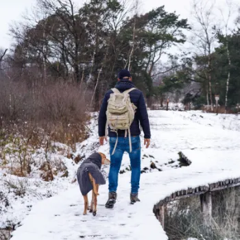 Knuppelbrug man met hond sneeuw