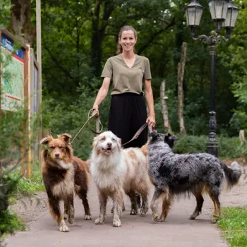 Vrouw wandelt met drie honden over een bospad bij Boshuys Nieuw Vosseven.
