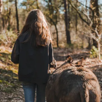 Wandelen met Ezeltjes Rondmeer